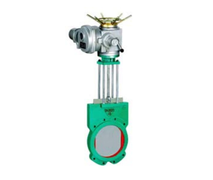  Electric slurry valve