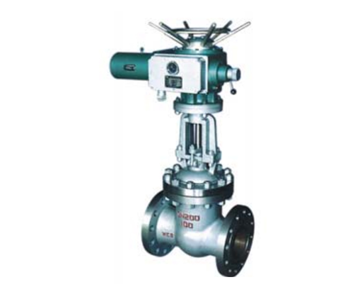  Electric gate valve