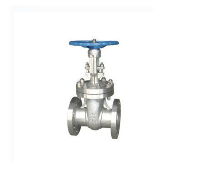  Vacuum isolation gate valve